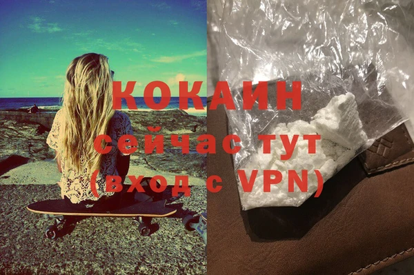 мяу мяу мука Горняк