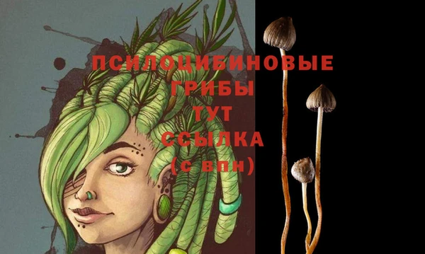 марихуана Горно-Алтайск