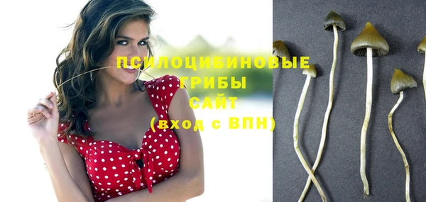 соль курить ск Горнозаводск