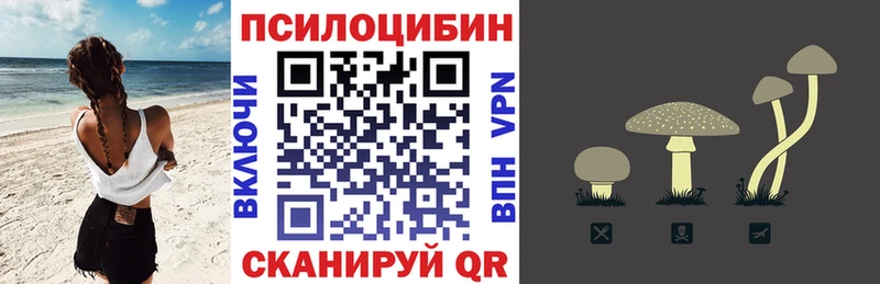 наркошоп  Энгельс  Псилоцибиновые грибы ЛСД 